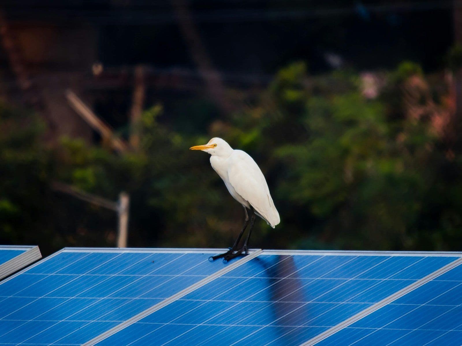 3-ways-solar-energy-helps-fight-climate-change